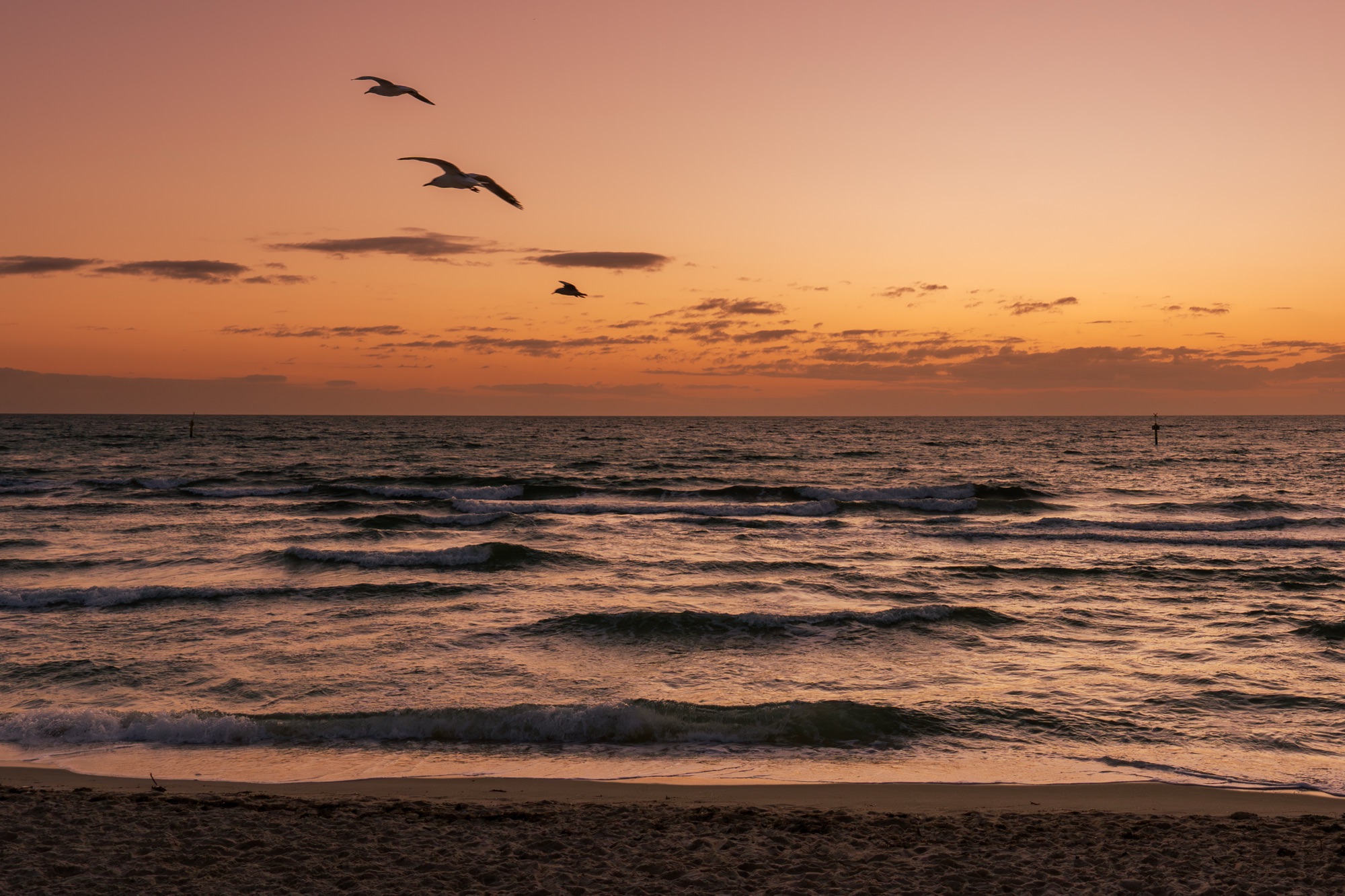 Seaford Sunset